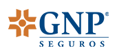 GNP